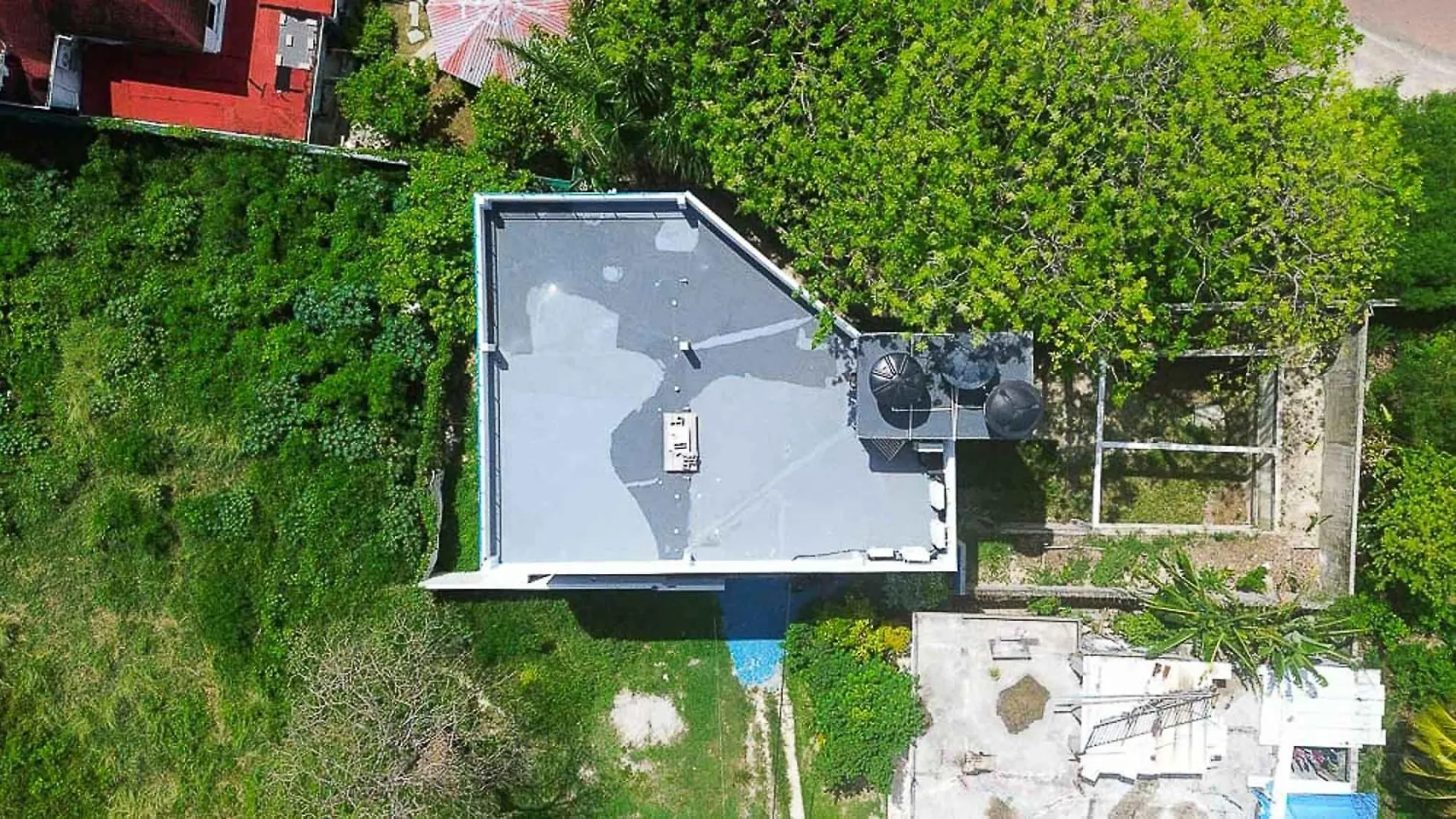 Bed and Breakfast Sukha Hippocampus San Andres Isla Colombia