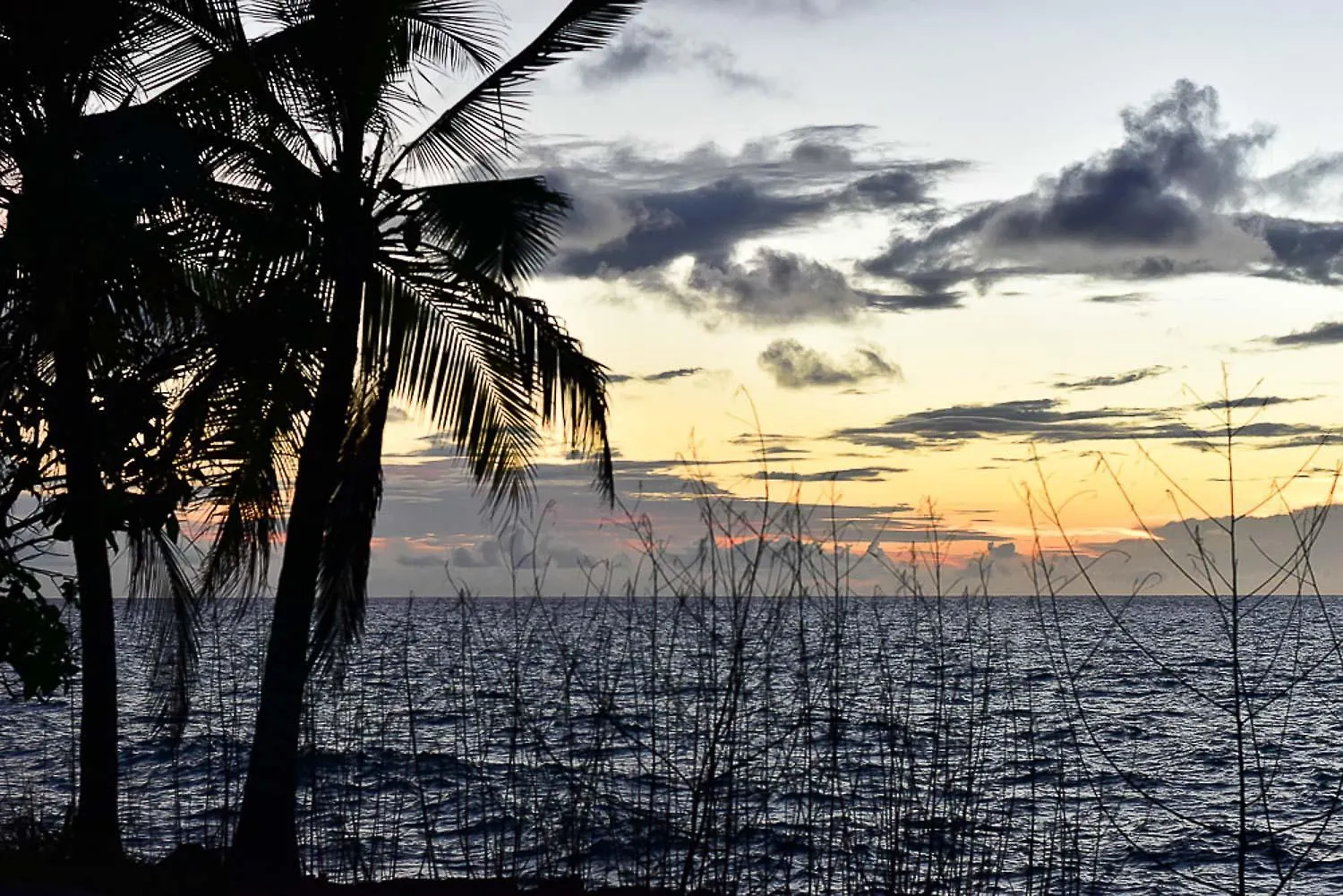 Bed and Breakfast Sukha Hippocampus San Andres Isla 0*, San Andrés