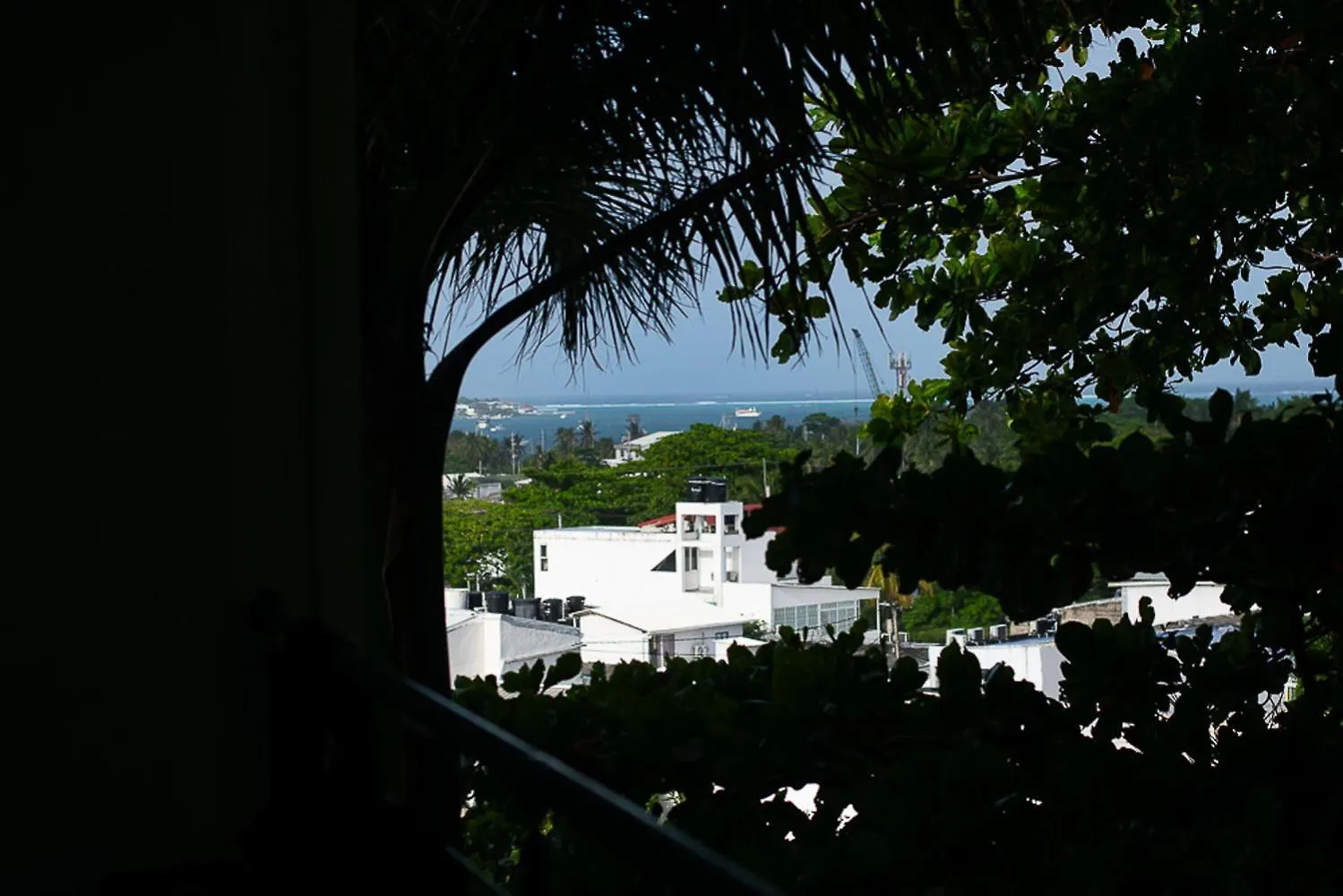Bed and Breakfast Sukha Hippocampus San Andres Isla