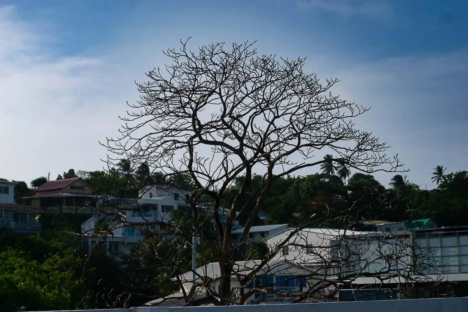 Bed and Breakfast Sukha Hippocampus San Andres Isla Colombia