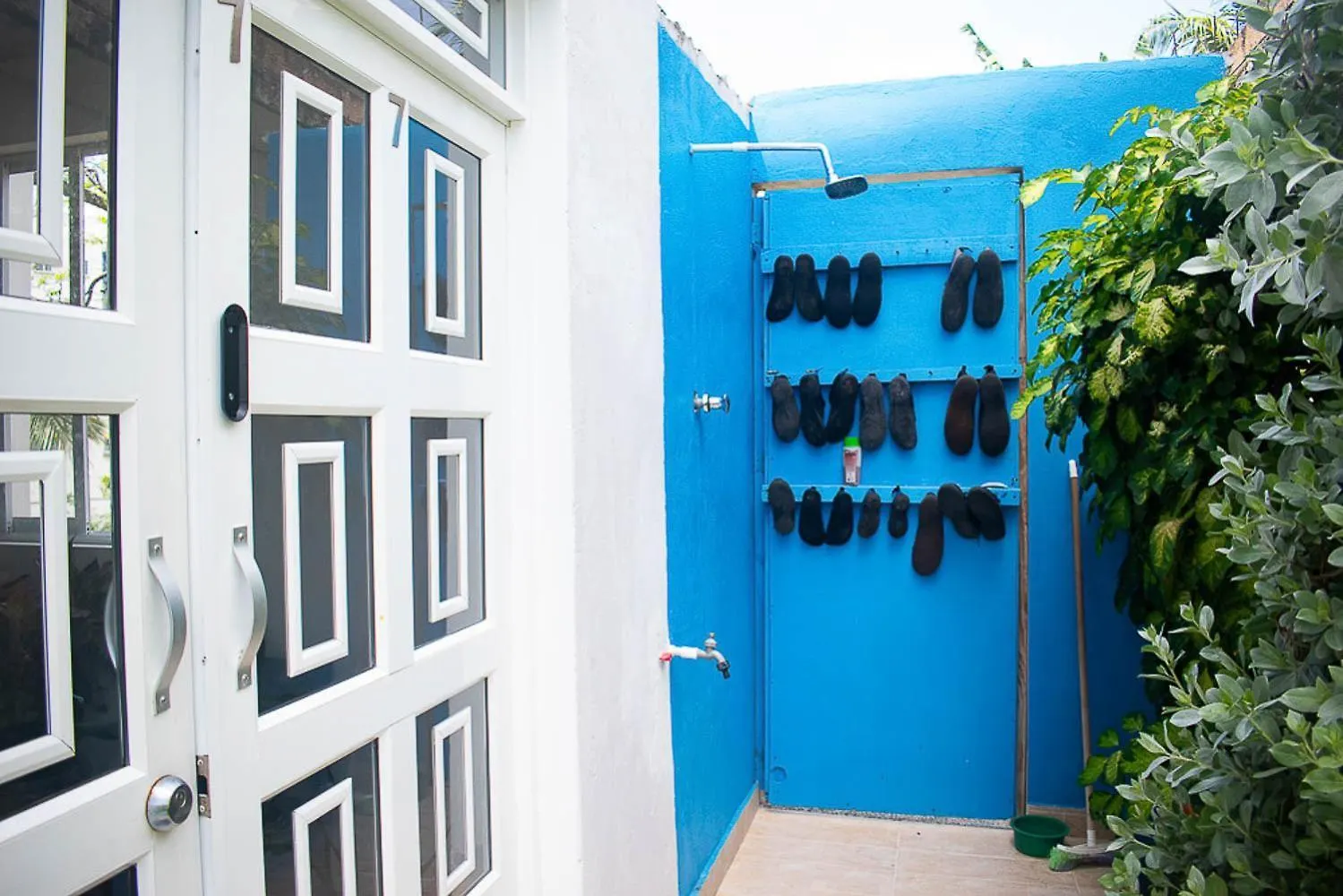 Bed and Breakfast Sukha Hippocampus San Andres Isla 0*, San Andrés