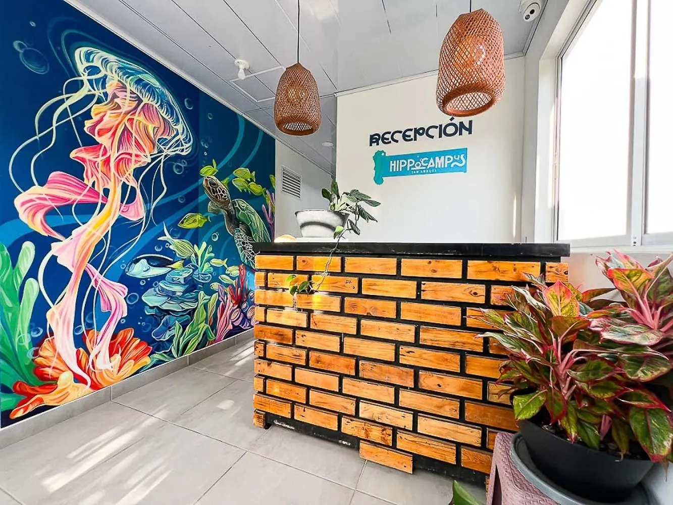 Bed and Breakfast Sukha Hippocampus San Andres Isla