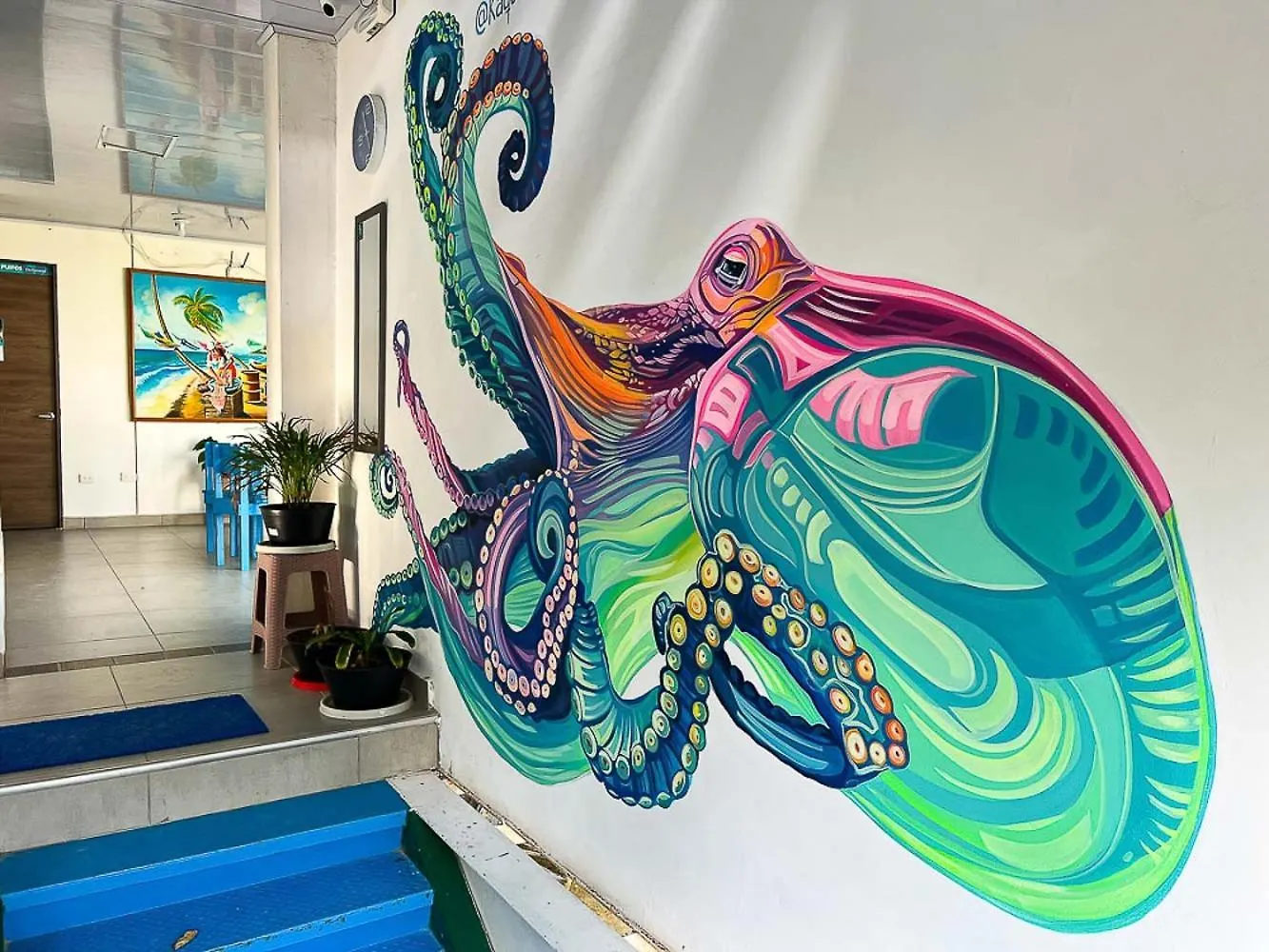 Sukha Hippocampus San Andres Isla住宿加早餐旅馆 0*, San Andrés