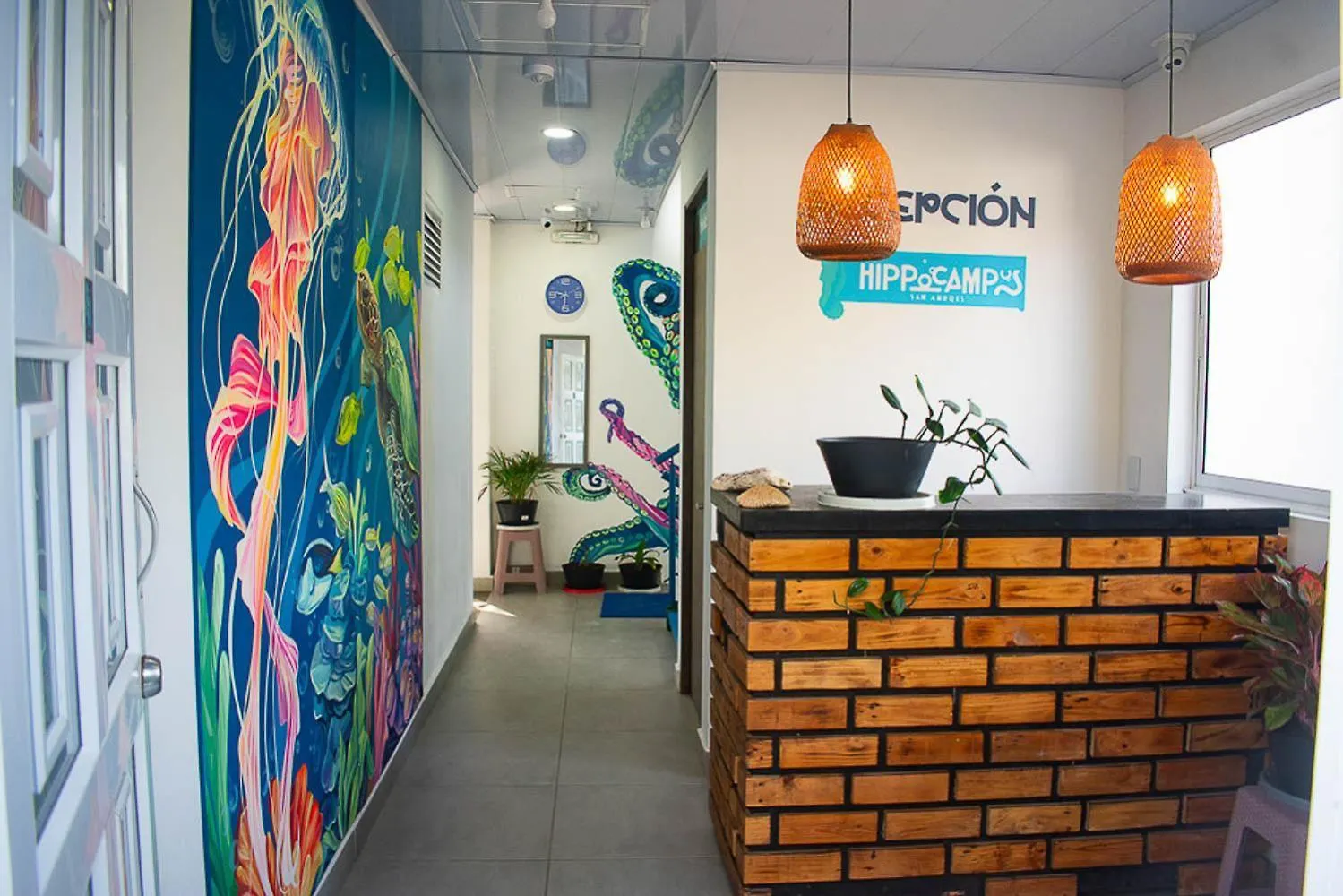 Sukha Hippocampus San Andres Isla住宿加早餐旅馆 San Andrés