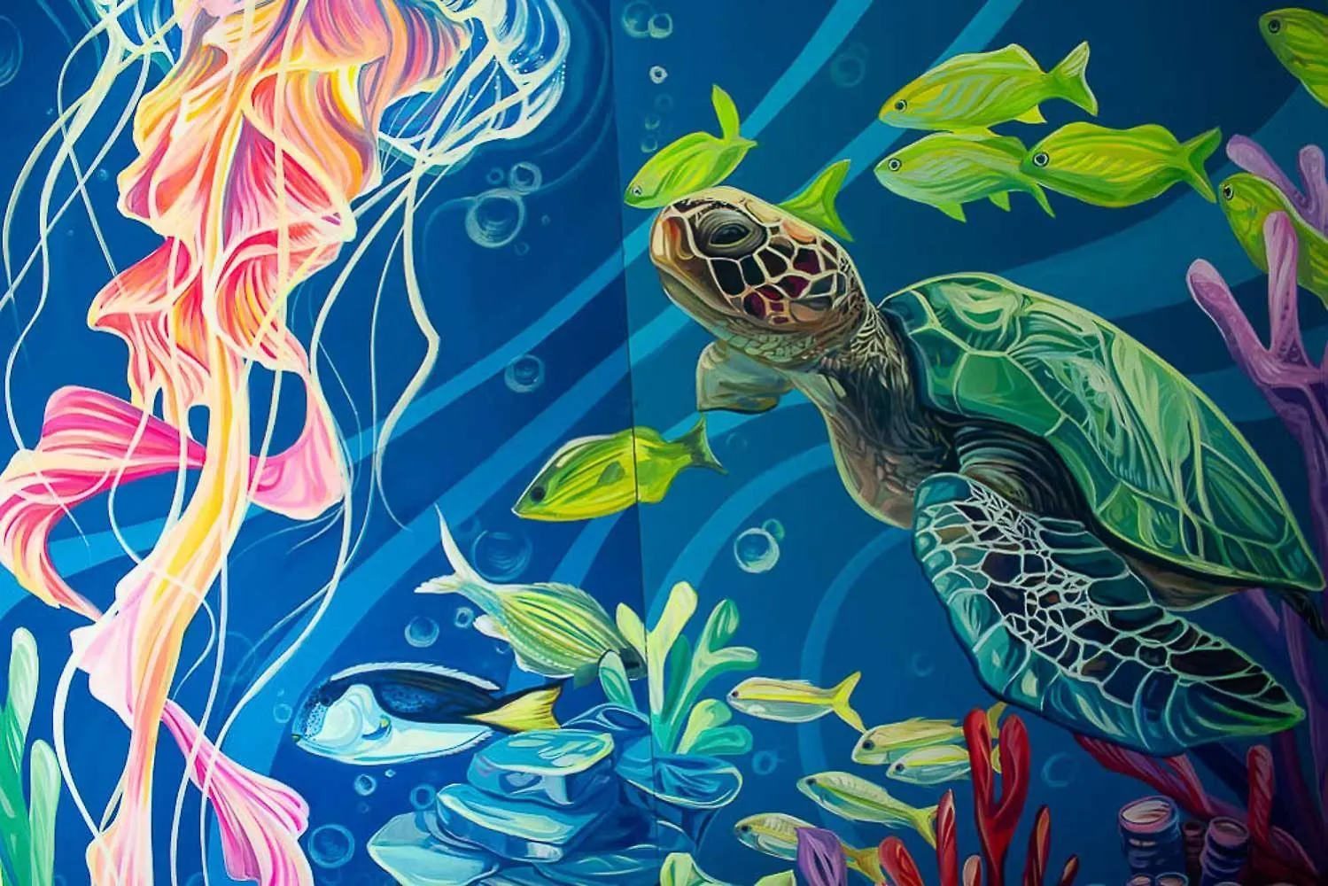 Sukha Hippocampus San Andres Isla住宿加早餐旅馆 0*, San Andrés 哥伦比亚